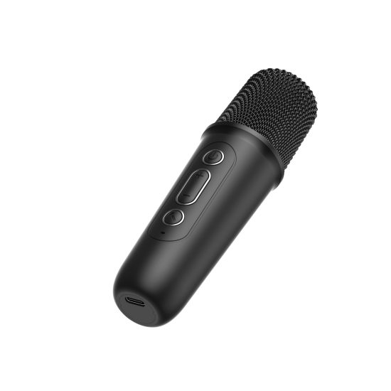 Havit Mini Karaoke Set – Black