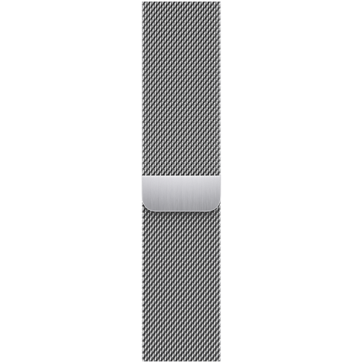 APPLE — 41mm Silver Milanese Loop